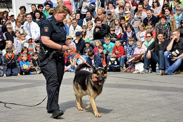 Polizeishow   041.jpg